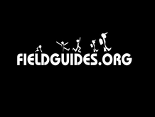 FIELDGUIDES logo