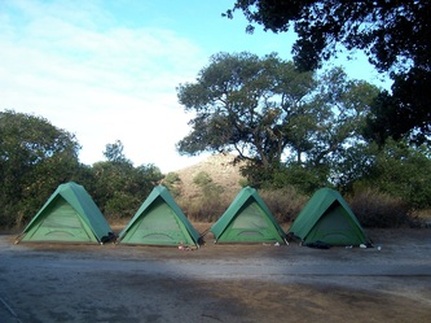 FIELDGUIDES tents at Toro Park