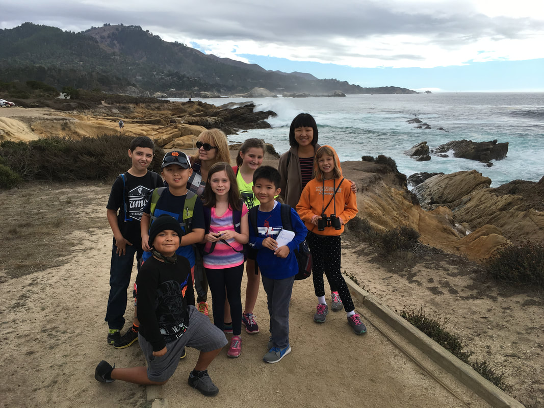 Fieldguides group at Point Lobos 